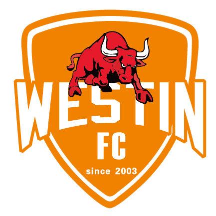 佛山女足 logo