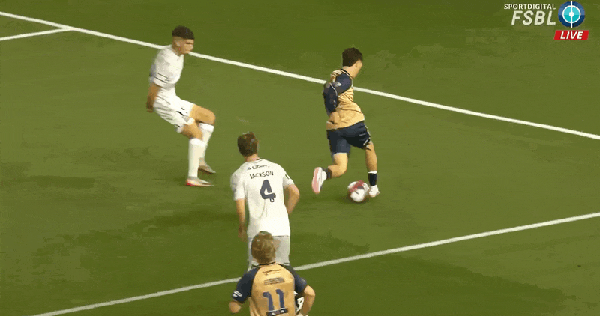 巴多拉托2.gif
